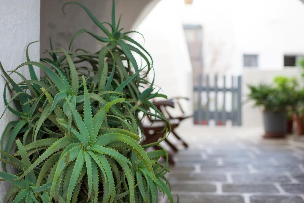 Castro Hotel Folegandros Island Exterior photo